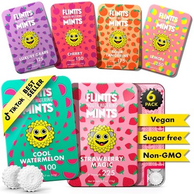 Flintts Mints Fruit Troop   Sugar Free Mouthwatering Mints for Dry Mouth Reli...