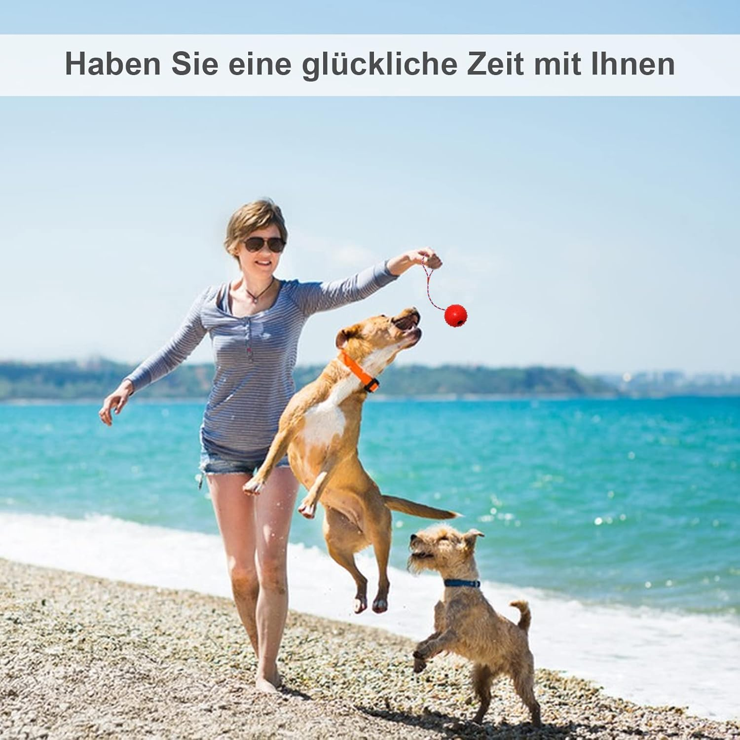 Bild 5 von 12
