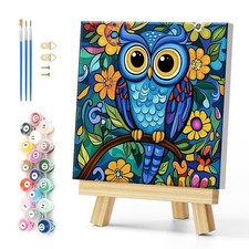 Framed Paint By Number Kit For Adults Colorful Oil Painting Canvas Art 30cm