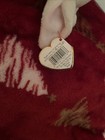 TY Beanie Baby - NIBBLER the Beige Rabbit (6 inch) — photo 9