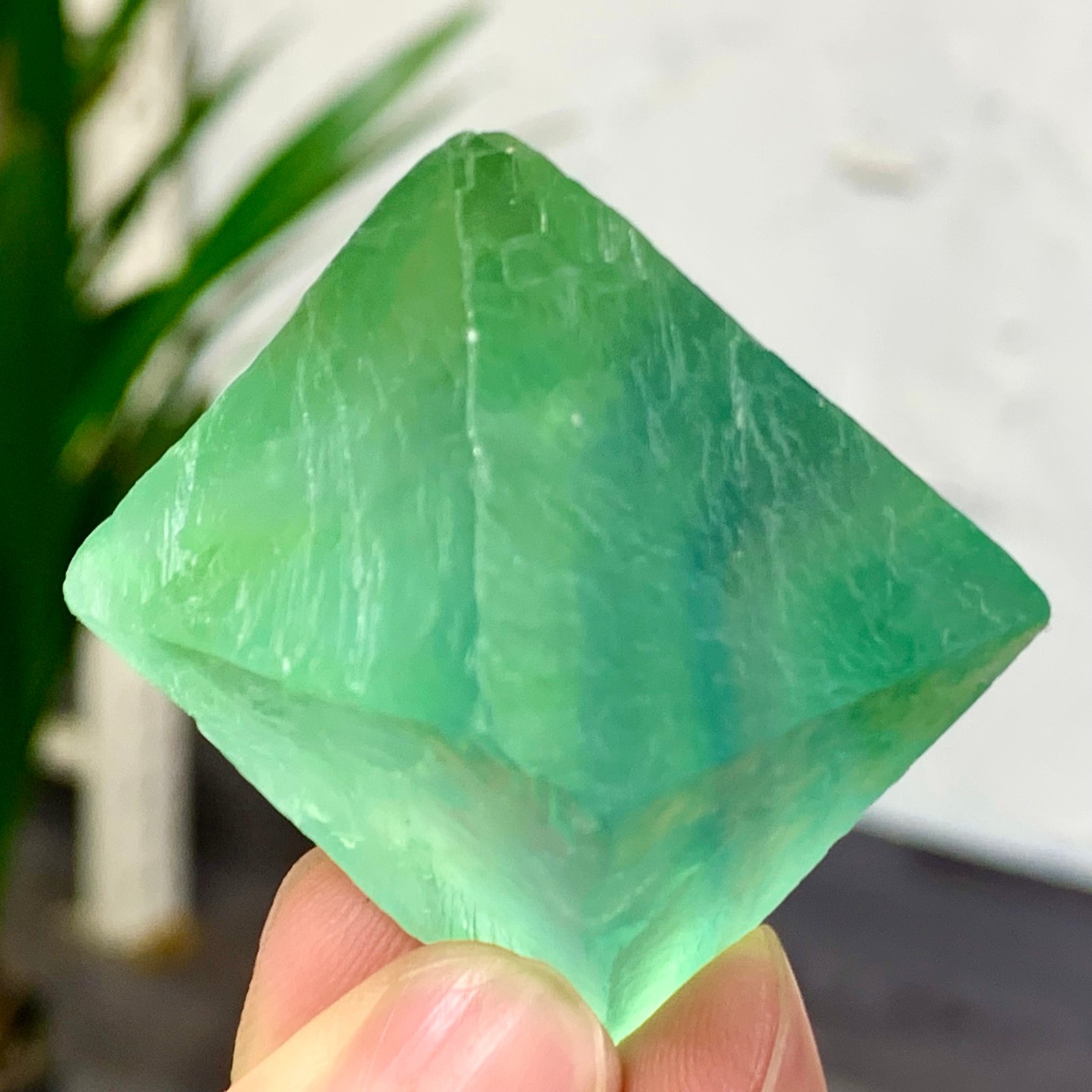 65G Natural Blue Green Fluorite Octahedron Crystal for Healing and Energy