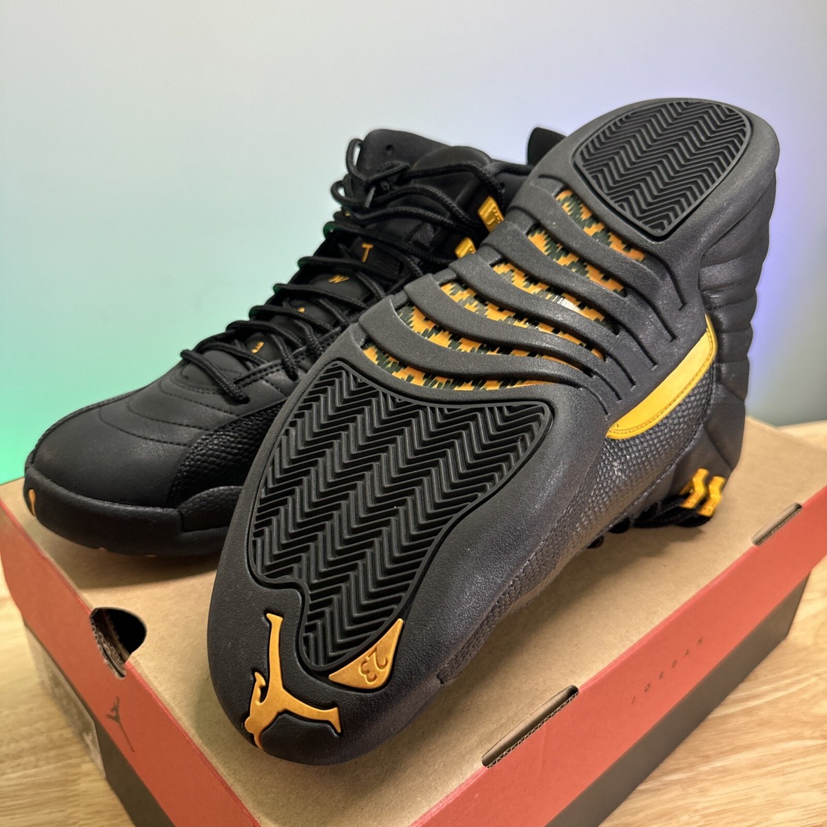 Nike Air Jordan 12 Retro CT8013-071 Men's 12 Shoes BLACK