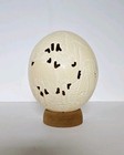 Vintage Collectible Hand Carved Ostrich Egg Ostrich Design Cork Base K. WIUM 93
