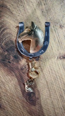 Lucky Up Horseshoe & Horse Head Pin Brooch Mixed Metal Gold Gray 