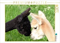 Calvendo Puzzle Two Alpacas Sniffing Each Other | 1000 Pieces, Finished Size 25.