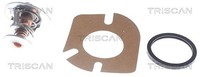 Triscan Thermostat, KüHlmittel U.A. FüR Hyundai, KIA