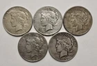 5 Peace Silver Dollars - Lot SK11