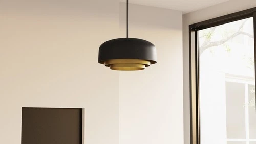 Quoizel FRK2822 Frankie 4 Light 22"W Pendant - Black - Picture 2 of 8