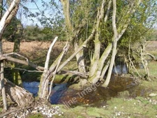 Photo 6x4 Stream, Howen Bottom Fritham Drainage waters from the surroundi c2011