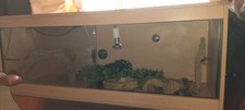 Reptile Enclosure, Heat Lamp With Thermostat To Adjust Temp, Enrichment Included