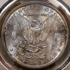 1882-S Morgan dollar, PCGS MS65, sweet rev color DKRC's DOLLAR DEAL WEDNESDAY!!
