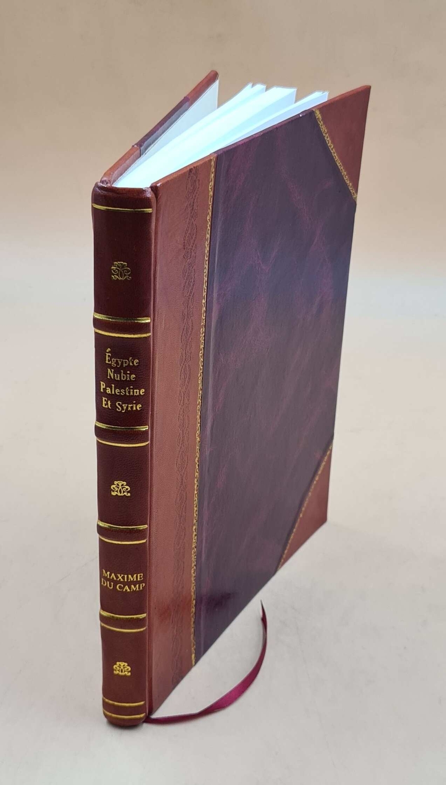 Egypt Nubia Palestine Syria Photographic Drawings Leather Bound Edition