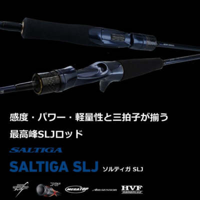 Daiwa Saltiga SLJ 60MLB-SMT (Baitcasting 1pcs) | eBay