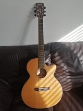 Elctro Acoustic Guitar