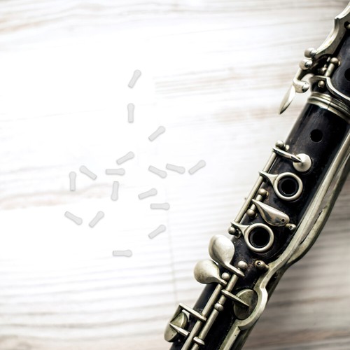 20 Pcs Clarinet Accessories Musical Instrument Repair Supplies Screws - Picture 12 of 12