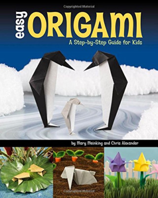 Easy Origami: A Step-by-step Guide for Kids - Paperback NEW Alexander, Chri 2010
