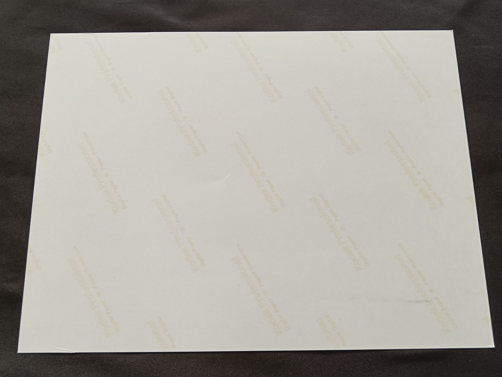 Steven Tyler SIGNED Janie Fund Charity AUTOGRAPHED 8x10 Fine Art Photo Aerosmith