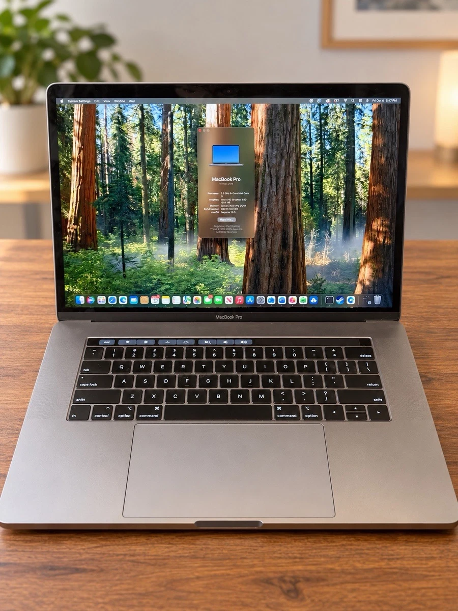 25+ Apple MacBook Pro 15 in 2019 for sale | Updated Oct 2026