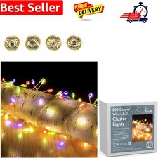 200 4m Copper Wire Cluster Lights With Multi-Colour LEDs