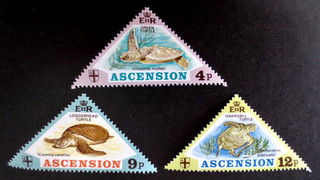 Ascension 1973 Turtles SG 171/173 MNH Set