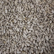 Trusty® Pet Supplies Wild Bird Sunflower Hearts 5Kg 3.94 per kilo