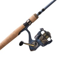 Pflueger President Spinning Reel
