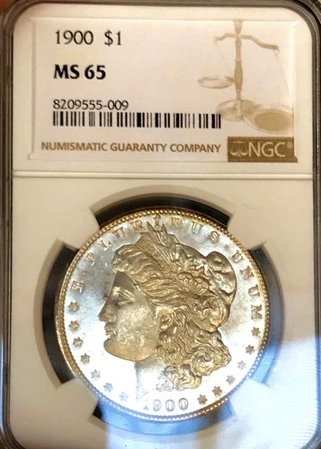 1900 MORGAN DOLLAR! LOOKS PROOF LIKE! DEEP LIQUID MIRRORS*CLEAN CHEEK NR #64808