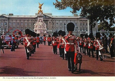 Postkarte -: London, das Korps der Trommeln und Maskottchen verlässt den Buckingham Palace