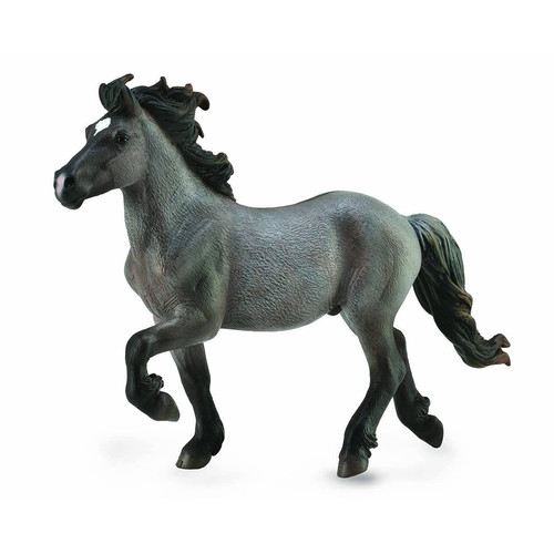 CollectA Icelandic Blue Dun Stallion 88826