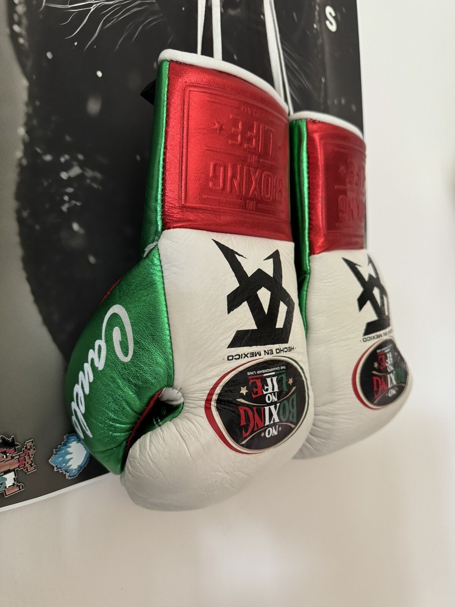 カネロ　NO BOXING NO LIFE グローブ　10oz カネロ NO BOXING NO LIFE グローブ 10oz カネロノーボクシング