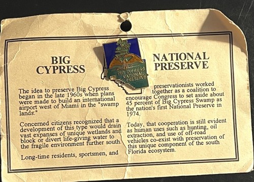 Big Cypress National Reserve Lapel Pin Miami Florida Sun Cypress Tree NEW FLA - Picture 3 of 6