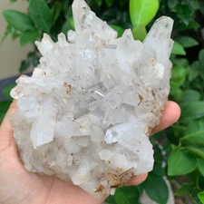 605g  Natural White Clear Quartz Crystal Cluster Rough Healing Specimen