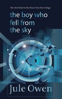 The Boy Who Fell From The Sky Jule Owen Taschenbuch The House Next Door Englisch