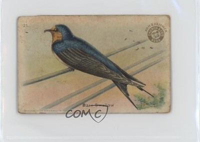 1918 Arm & Hammer Useful Birds of America Series 1 With First Note #21 0l4h