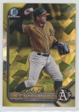 2022 Bowman Chrome Sapphire Edition Prospects Yellow 4/50 Euribiel Angeles 0hw6