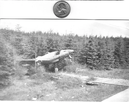 WW2 WWII USAAF US Army Air Force Military Press Photo Captured German Me 262 Jet