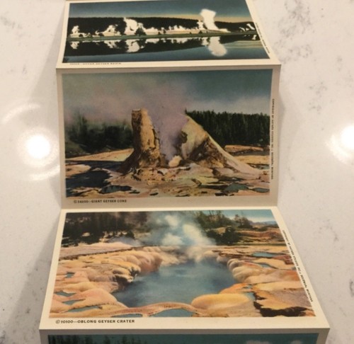 Vintage Yellowstone National Park Haynes Souvenir Folder Foldout Postcard - Picture 9 of 12
