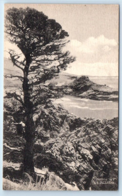 Towards Highlands from Point Lobos - CARMEL California Slevin Postcard