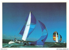 ARTP4-0283-BARCA - Corsa Di Vele - Regata