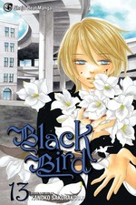 Black Bird, Vol. 13 by Kanoko Sakurakouji (English) Paperback Book