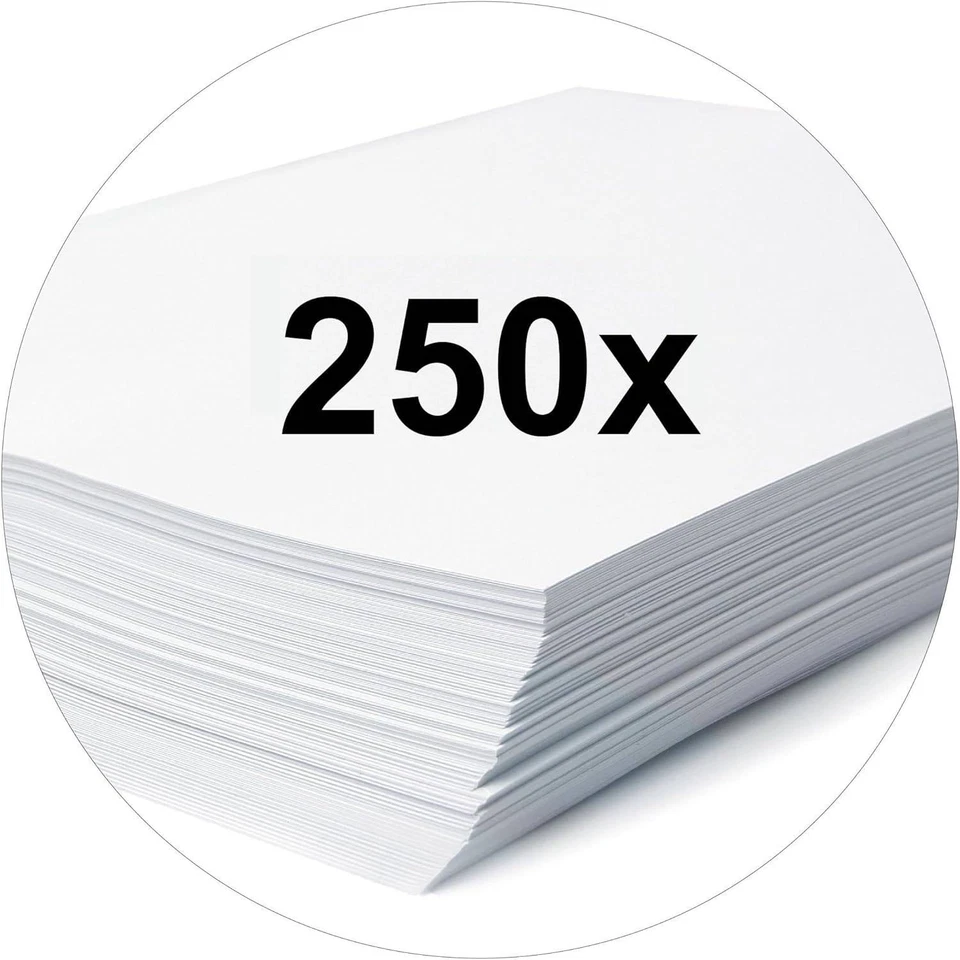 100 Karton-Schnellhefter A4 farbig sortiert NEU 250g/m² Kartonschnellhefter - Bild 4 von 4