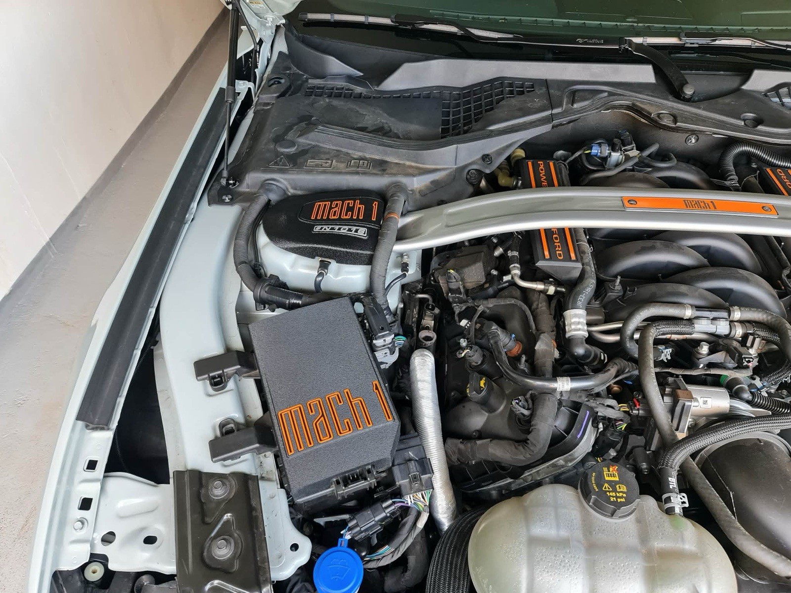 Picture 1