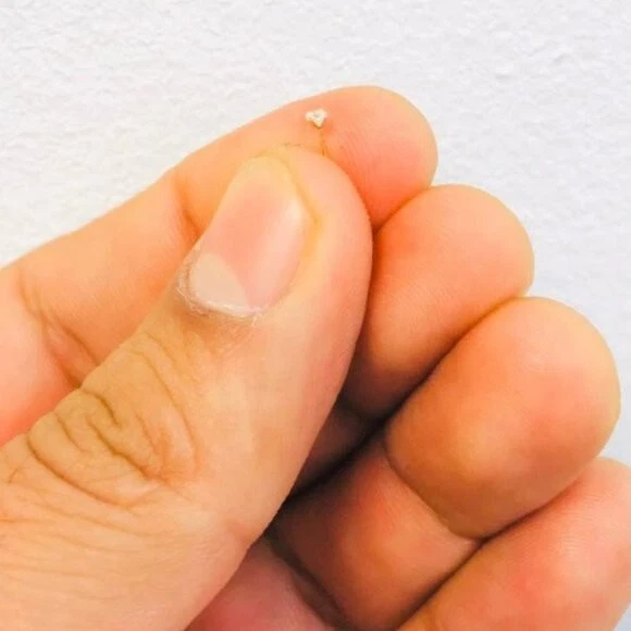 Pequeño juego de puntas de oro amarillo de 14 quilates con hueso de nariz tallo largo 13 mm Foto 3 de 4