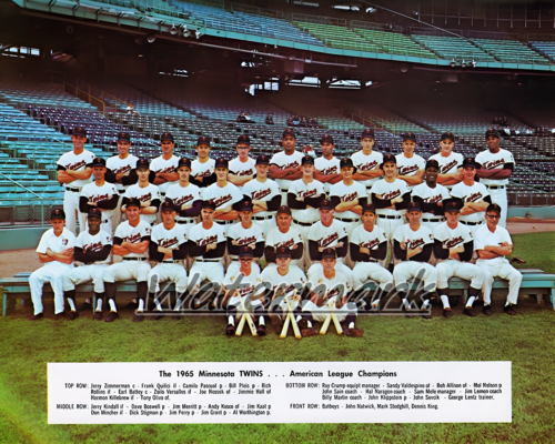 MLB 1965 American League Champs Minnesota Zwillinge Farbe Team Bild 8 x 10 Foto - Bild 1 von 1