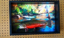 Hand crafted trout fishing art. beautiful brook trout in unique shadow box.