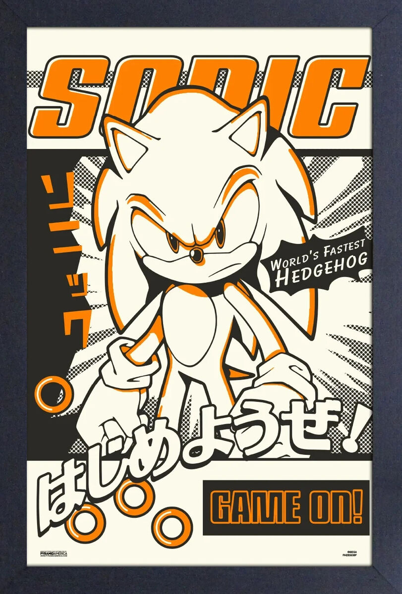 SONIC THE HEDGEHOG GROUP JAPANESE 12x18 FRAMED GELCOAT POSTER