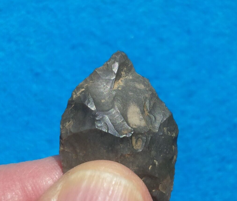 13/16" PALEO HARDAWAY BLADE SOUTH CAROLINA ARROWHEAD Authentic Indian