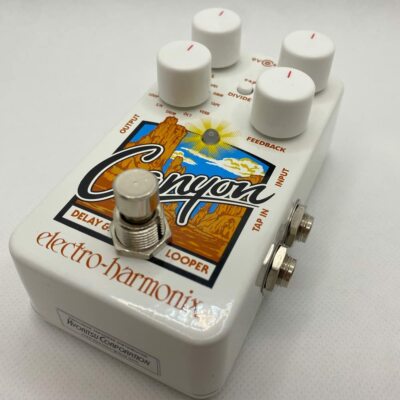 Electroharmonix Electrohar Humanics Effector Delay / Luper Canyon Domestic Motto