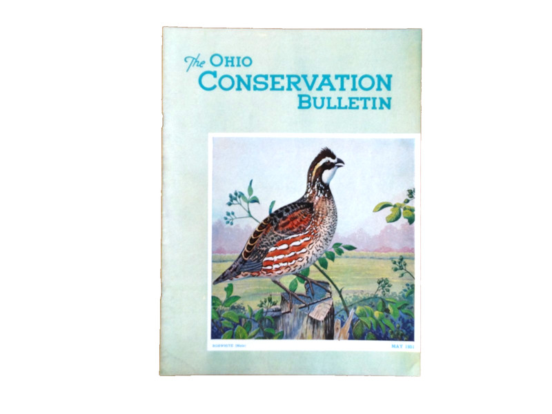 The Ohio Conservation Bulletin – May 1951 – Bobwhite 