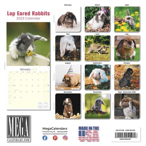 lop-eared-rabbit-premium-wall-calendar-2023-made-in-the-usa-ebay